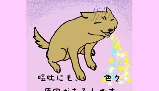 食欲不振には病気が隠れていることも