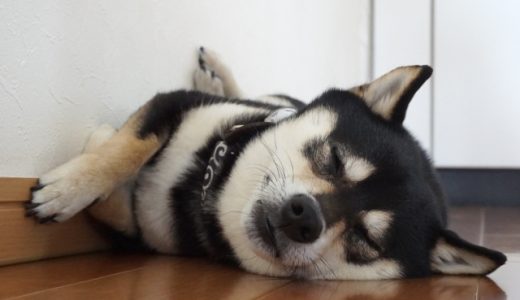 熱中症警報
