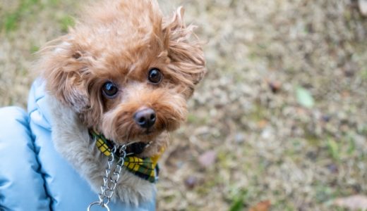 お肌トラブル増えてます